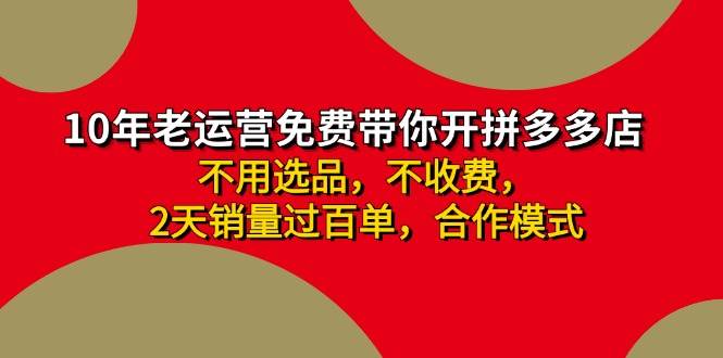 拼多多-合作开店日入4000+两天销量过百单，无学费、老运营教操作、小白...-齐力副业