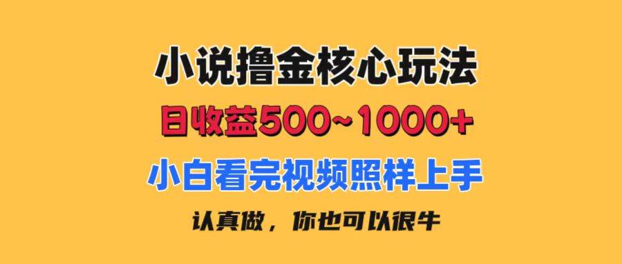 小说撸金核心玩法，日收益500-1000+，小白看完照样上手，0成本有手就行-齐力副业