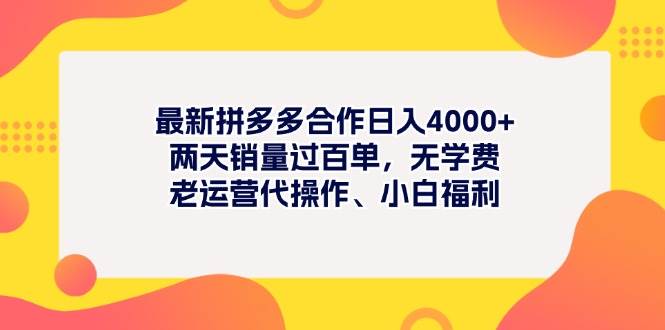 最新拼多多项目日入4000+两天销量过百单，无学费、老运营代操作、小白福利-齐力副业