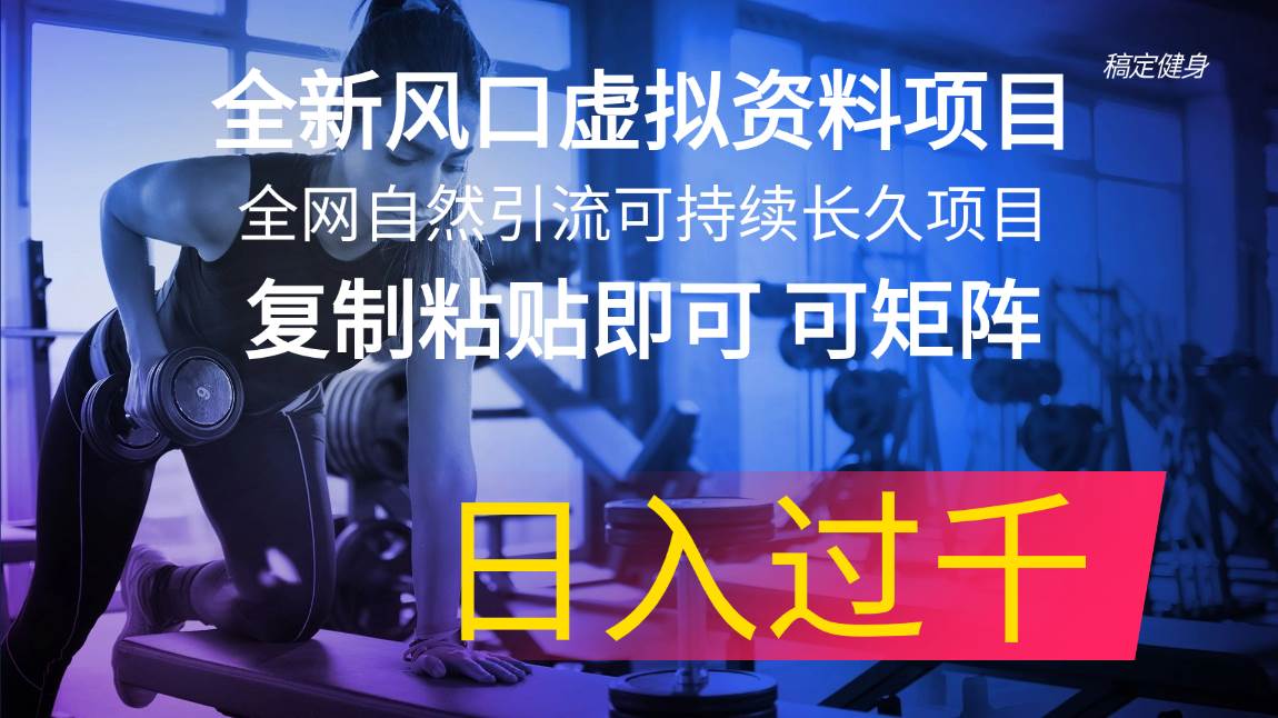 全新风口虚拟资料项目 全网自然引流可持续长久项目 复制粘贴即可可矩阵…-齐力副业