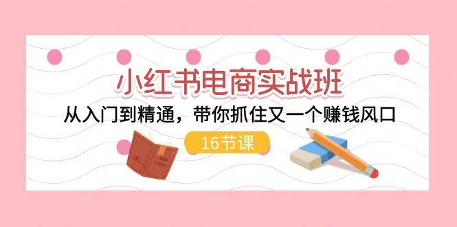 小红书电商实战班，从入门到精通，带你抓住又一个赚钱风口（16节）-齐力副业