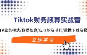 Tiktok财务核算实战营：TK业务模式/数据核算/应收款及毛利/数据下载及报表-齐力副业