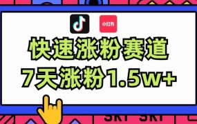 涨粉超快蓝海赛道！轻松伪原创，7天涨粉1.5w+-齐力副业