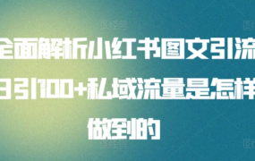 全面解析小红书图文引流日引100私域流量是怎样做到的-齐力副业