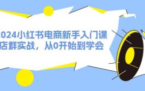 2024小红书电商新手入门课，店群实战，从0开始到学会（31节）-齐力副业