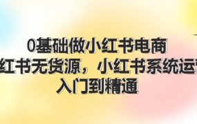 0基础做小红书电商，小红书无货源，小红书系统运营，入门到精通 (70节)-齐力副业