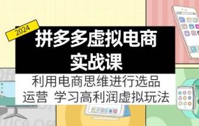 拼多多虚拟电商实战课：利用电商思维进行选品+运营，学习高利润虚拟玩法-齐力副业