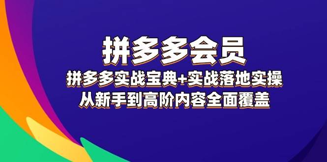 拼多多 会员，拼多多实战宝典+实战落地实操，从新手到高阶内容全面覆盖-齐力副业