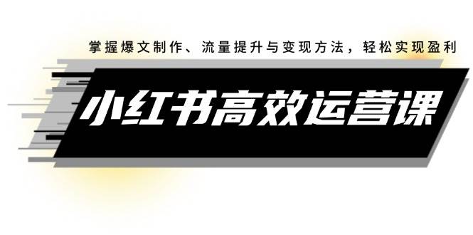 小红书高效运营课：掌握爆文制作、流量提升与变现方法，轻松实现盈利-齐力副业